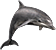 :dolphin: